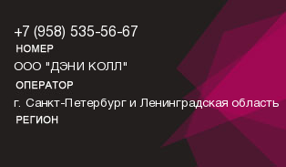 9585355667